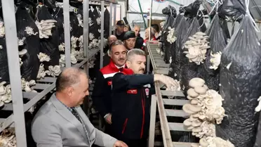 Artvin'de Mantar Üretim Tesisine Vali Ziyareti