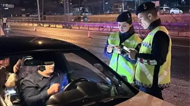 Bilecik'te Jandarma Denetimi: 1 Kişi Yakalandı