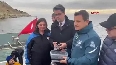 ÇOMÜ'den Deniz Canlıları İçin Önemli Adım: 400 Istakoz Batan Geminin Etrafına Salındı