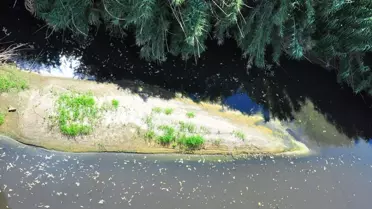 Gediz Nehri'nin Kirliliği İçin Acil Çözüm Çağrısı