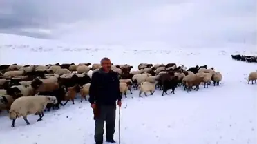 Adilcevaz'da Kar Zorluk Yarattı