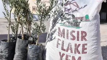 Mersin Büyükşehir Belediyesi'nden Tarıma Destek: 3.360 Zeytin Fidanı ve 56 Ton Mısır Yem Dağıtımı