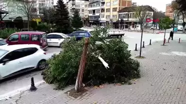 Bursa'da Lodos Hayatı Olumsuz Etkiledi