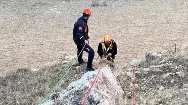 Kayıp Keçiler Kurtarıldı
