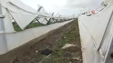 Antalya Büyükşehir Belediyesi, Hortumdan Zarar Gören Çiftçilere Destek Verdi