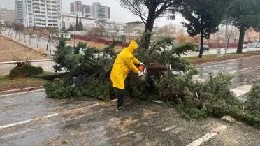 Kahramanmaraş'ta Fırtına ve Tipi Hayatı Olumsuz Etkiliyor