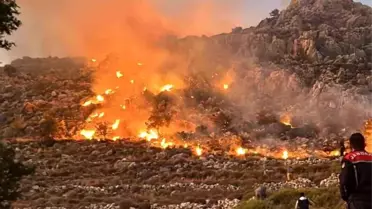 Marmaris'te Makilik Alanda Yangın Çıktı