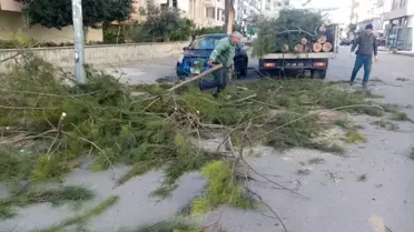 Silifke'de Fırtına Sonrası Temizlik ve Onarım Çalışmaları Devam Ediyor