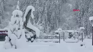Karadeniz'in Kış Güzellikleri: Uzungöl ve Ayder Yaylası Beyaza Büründü