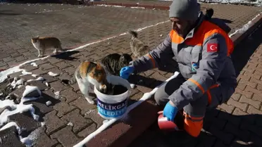 Kış Gıda Desteği Sahipsiz Hayvanlara