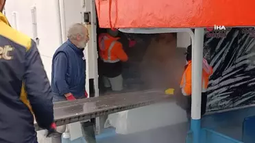 Karadeniz'de Hamsi Bolluğu
