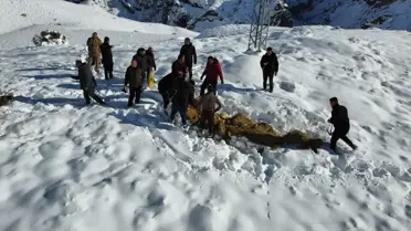 Tortum'da Yaban Hayvanları İçin Yem Bırakıldı