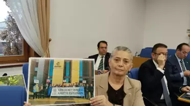 Genç Avukatların Sorunları TBMM'de