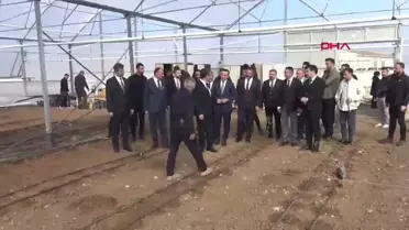 Silopi'de Tropikal Meyve Yetiştiriciliği Başladı