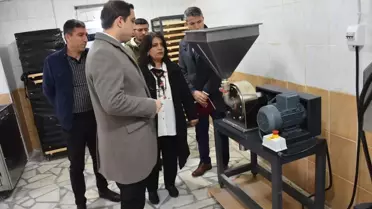 Sason'da Modern Çilek Tesisi Kuruluyor