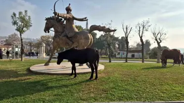 Başıboş Atlar Tekirdağ'da İlgi Odağı