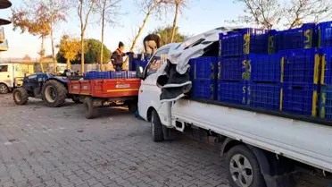 İznik'te Zeytin Üreticileri Uzun Kuyrukta