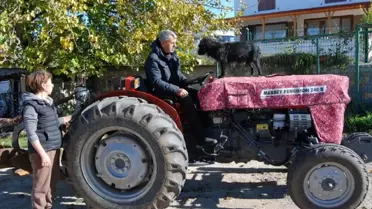 Traktörün Maskotu: Kara