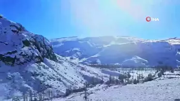 Tortum'da Yaban Hayvanlarına Destek