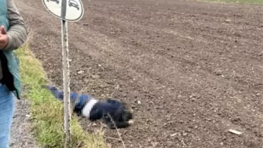 Muğla'da yol kenarında erkek cesedi bulundu
