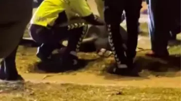 Adana'da Kaza: 1 Ölü, 9 Yaralı