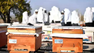 Kayseri'de Arıcılık Eğitimi için İş Birliği Projesi