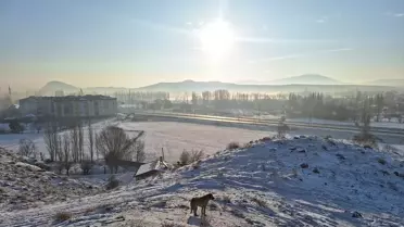 Hafik'te Soğuk Hava ve Sis Etkili