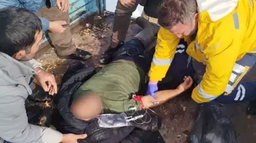 Ayı Saldırısına Uğrayan Yürüyüşçü Hastaneye Kaldırıldı