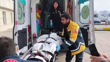 Domuz avında ayı saldırısına uğrayan eski muhtar hayatını kaybetti