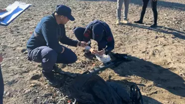 Amasra'da Dalgıç, Sit Alanından Ziynet Eşyası Çıkardı