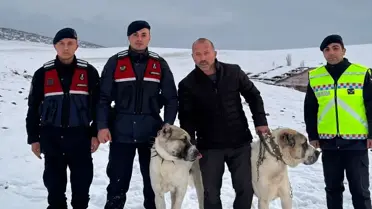Jandarmadan Köpek Kurtarma Operasyonu