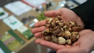 Samsun'da Tıbbi ve Aromatik Bitkiler Paneli Düzenlendi