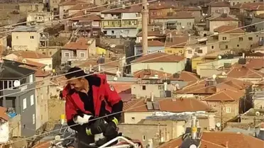 Kayseri'de İtfaiye Ekipleri, Mahsur Kalan Kediyi Kurtardı