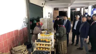 Meyve Üretimi Bilecik’ten Türkiye’ye