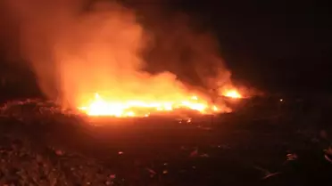 Çanakkale'de Meyve Bahçesinde Yangın