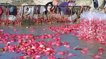 Kadirli Turpu Hasadı Başladı