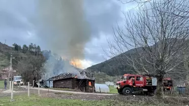 Şenpazar'da Ahşap Ev Yandı