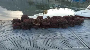 Eğirdir Gölü'nde Kaçak Kerevit Avına Geçit Yok