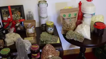 Muğla'da Sakız Ağacı Üretimi İçin Protokol İmzalandı
