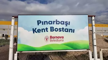 Bornova'da Kadınların Üretim Heyecanı: İlk Kent Bostanı Hasadı Gerçekleşti