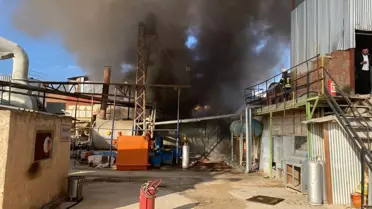 Elazığ'daki Asfalt Şantiyesinde Yangın Çıktı