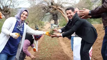 Feke'de Salep Üretim Merkezi Projesi Hayata Geçti