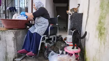 Tekerlekli Sandalyede Hayvan Sevgisi