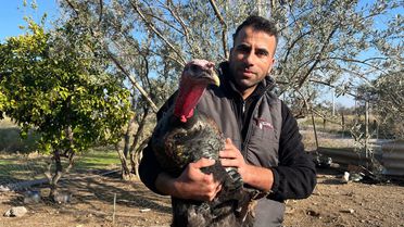 İzmir'de Yılbaşı İçin Hindi Satışları Rekor Kırıyor