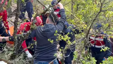 İznik'te Defineciler Suç Üstü Yakalandı