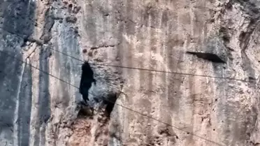 Uçurumdan Asılı Kalan Keçi Kurtarıldı