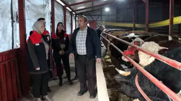 Düzce'de Hayvancılıkta Başarı Hikayesi
