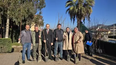 Bayırköy Belediyesi'nden Ücretsiz Cennet Hurması Fidanı Dağıtımı