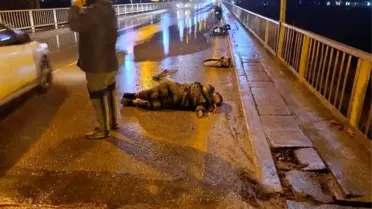 Birecik'te Motosiklet Kazası: Sürücü Kaçtı