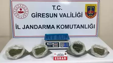 Bulancak'ta Uyuşturucu Operasyonu: 2 Tutuklama